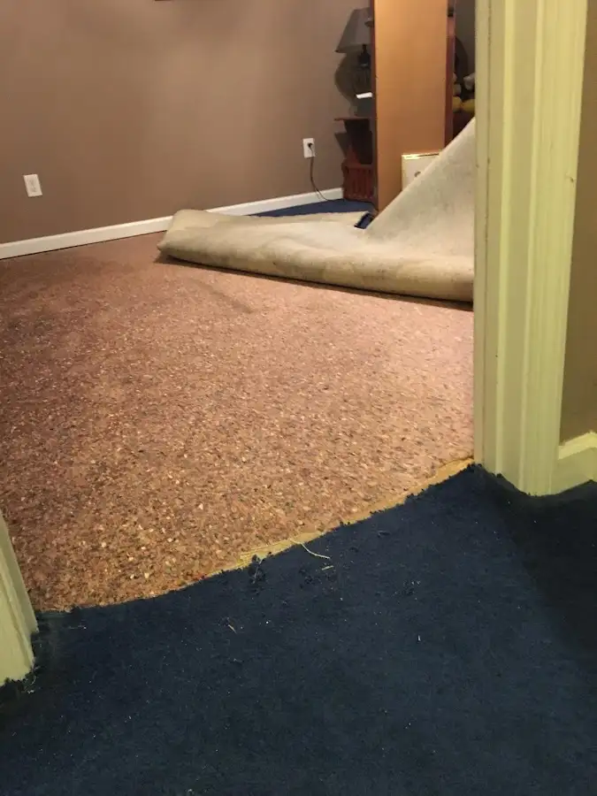 Carpet pad removal revealing water damage during Drying & Dehumidification in Mayflower Village